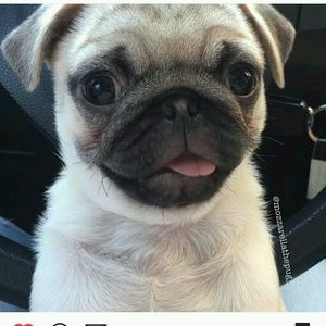 Meet your Posher, Natalia